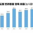 몽꾸르펫트하우스 이미지