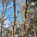 경북 의성군 [금성산&amp;산운생태공원] 이미지