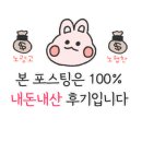 써니페스트리