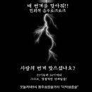 번개더덕