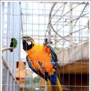 경주버드파크 이미지