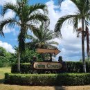 팜스프링스 이미지