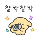 댕댕이 목욕탕 이미지