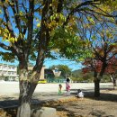 영양초등학교 이미지