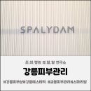 세민에스테틱 | 강릉에스테틱 ▸스파리담◂ 물광수분, 윤곽리프팅에 뛰어난 세멘시트 관리 받고 추천까지!!