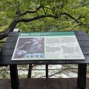 금강사 | 오대산 국립공원 [비오는날의 금강사]