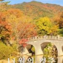 (주)경주산림환경 이미지