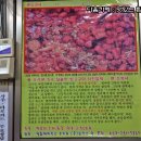 옴시롱감시롱 이미지