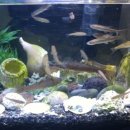 깊은산계곡산장 이미지