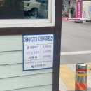 백산커피 | 단양 애견동반카페 백산커피 🐾｜중대형견 동반가능카페｜내돈내산 후기