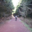 한라산둘레길 사려니숲길 이미지