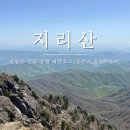 지에스25분당신원점 | [100대 명산 도전 8탄] 지리산 천왕봉 최단코스 중산리-순두류-장터목대피소 당일산행 / 주차장...