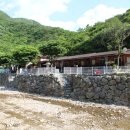 비둘기 펜션 이미지