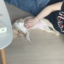 모산수제비 이미지