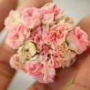 유데일리 이미지