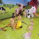 해준농장 이미지