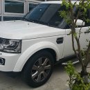 (주)에스제이렌트카 이미지