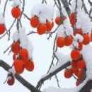 갈월공원 이미지