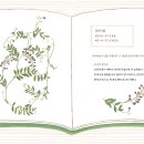 [북멘토] 초록이와 마녀와 느티나무 소년 이미지