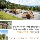 경기도벚꽃명소 가래골농원캠핑장 서울 경기 벚꽃명소 외에도 여기!