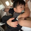 하귤소담 이미지