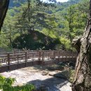 조각공인중개사사무소 이미지