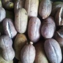 보라매약수터 이미지