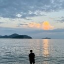 바바라 발리 이미지