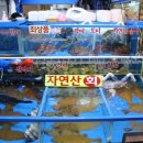 가락횟집 | 가락시장 횟집 용천수산 내돈내산 후기