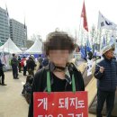 ● “망해가는 대한민국” 이미지