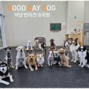 굿데이독 케어센터 이미지