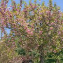 미사경정공원 이미지