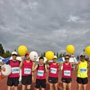 경남 마라톤대회. 이미지