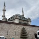 장미 공중화장실 이미지