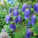 철마공원 이미지