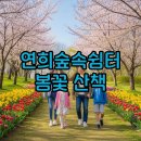 두무대쉼터 | 연희숲속쉼터 벚꽃·튤립 주차 가는법
