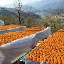 우량농장 이미지