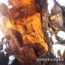 백봉령 농장 이미지