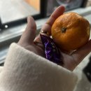 양남보쌈 이미지