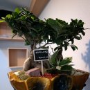 동인자동차공업사 이미지