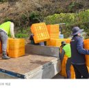 이태용농장 네이버블로그