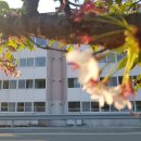 송학강변로 이미지