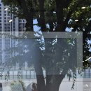 시네마 코인노래연습장 이미지