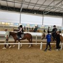 교하운정스카이승마장 이미지