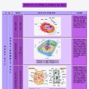 국민은 탄핵사유가 불충분하오며ㆍ민주당+ 코리아 딥스테이트 공작정치에 의거한 정치쏘탄핵은 상원에서 부결이 됩니다ok 이미지