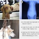 범 동물병원 이미지