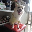 동현24시동물병원 이미지