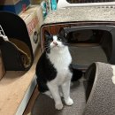 청평동물병원 이미지