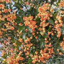 멋이 있는..맛이 있는..교회..우리교회.. 이미지