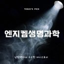 (주)장수생명과학 | 엔지켐생명과학 주가 분석, 매매 전략 및 전망